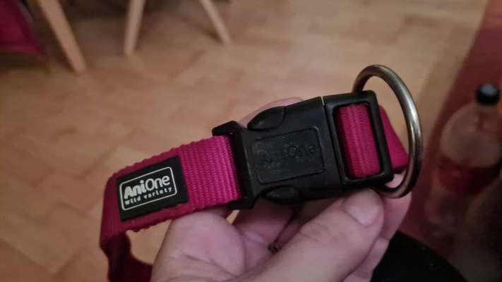 TierschutzhundeStammtisch🐕-Beitrag-Bild