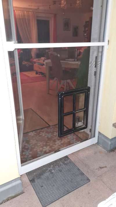 TierschutzhundeStammtisch🐕-Beitrag-Bild