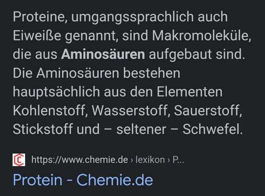 Alles rund um den Schäferhund, diskutieren erwünscht.-Beitrag-Bild