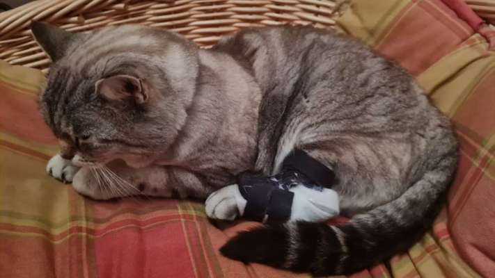 Was hat euch heute genervt?-Beitrag-Bild