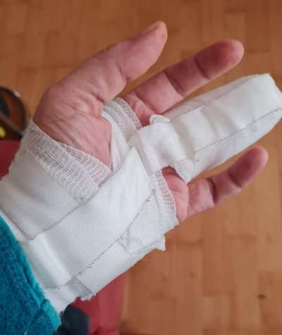 TierschutzhundeStammtisch🐕-Beitrag-Bild