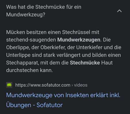 Alles rund um den Schäferhund, diskutieren erwünscht.-Beitrag-Bild