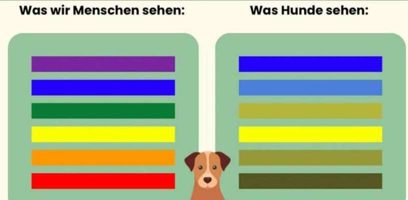 Farben lernen-Beitrag-Bild