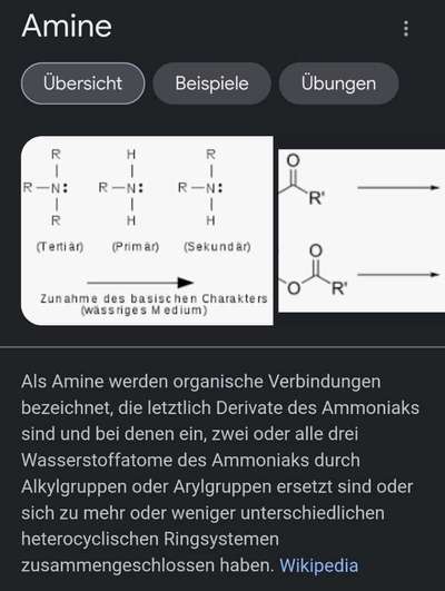 Alles rund um den Schäferhund, diskutieren erwünscht.-Beitrag-Bild