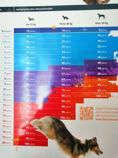 Was hat euch heute genervt?-Beitrag-Bild