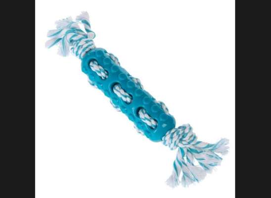 Tipps, Tricks, Klatsch und Tratsch über den Labrador-Beitrag-Bild