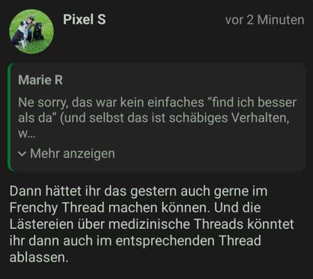 Alles rund um den Schäferhund, diskutieren erwünscht.-Beitrag-Bild