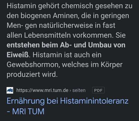 Alles rund um den Schäferhund, diskutieren erwünscht.-Beitrag-Bild
