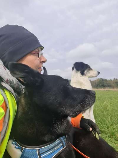 TierschutzhundeStammtisch🐕-Beitrag-Bild