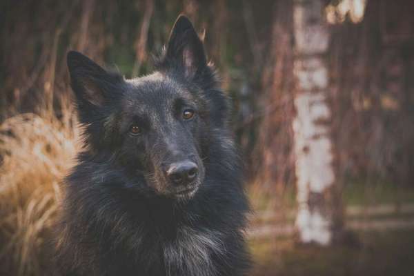 Zeigt eure Portraits-Beitrag-Bild