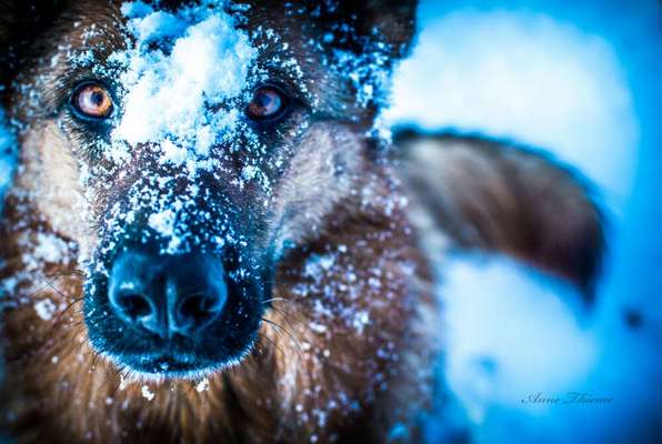 Zeigt eure Portraits-Beitrag-Bild