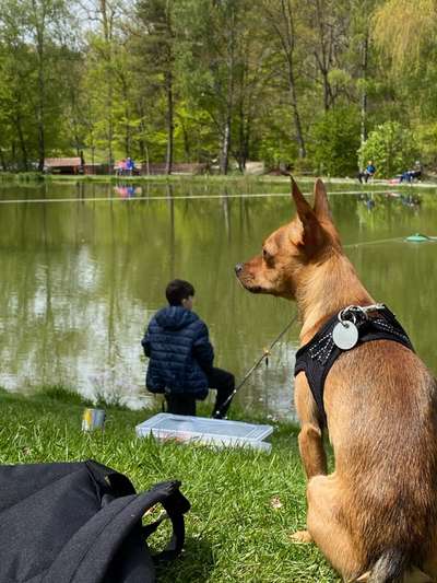 Dogorama-Monats-Challenge-Mai "Wasser"-Beitrag-Bild