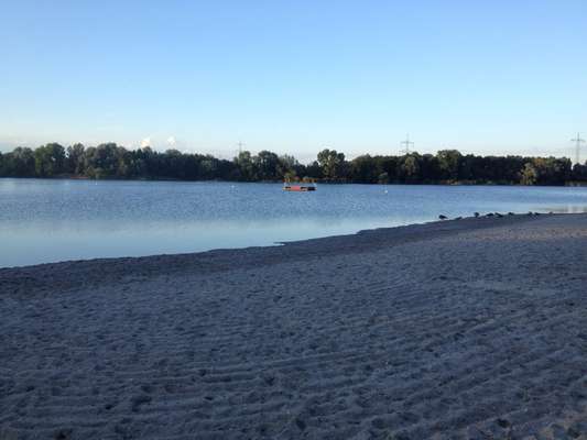 Hundetreffen-Robuste Spielpartner gesucht-Bild