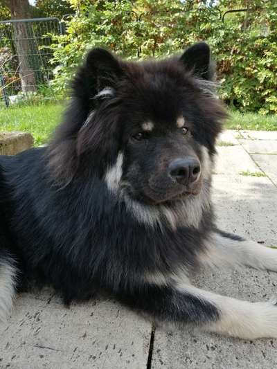 Fotochallange Nr. 57     PORTRÄT.   Beendet!!!!!!!!-Beitrag-Bild