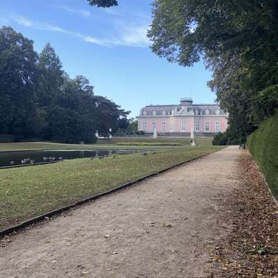 Hundetreffen-IGP/ Really O-Bild