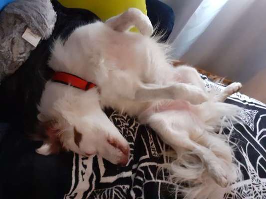 Schlafzeit!💖-Beitrag-Bild