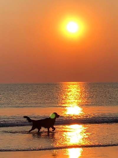 Theos Fotochallange Nummer 4-Beitrag-Bild