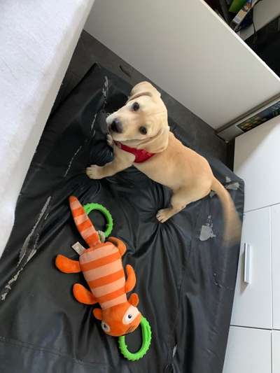 Erstes Bild-Beitrag-Bild