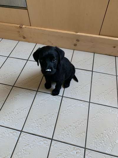 Erstes Bild-Beitrag-Bild