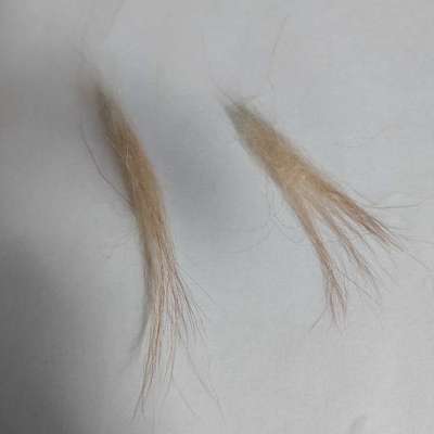 Fell verlieren-Beitrag-Bild