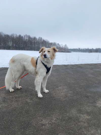Doppelgänger gesucht !-Beitrag-Bild
