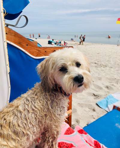 Strand am Ostsee-Beitrag-Bild