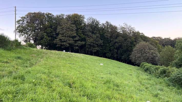 Hundeauslaufgebiet-Hundewiese Mühlinghaus Unterhebbinghausen Wermelskirchen-Bild