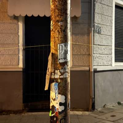 Giftköder-herabhängende Fäden in Augen- und Gehhöh-Bild