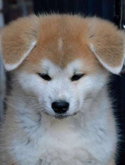 Foto Challenge 82-Beitrag-Bild