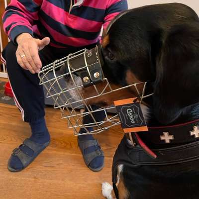 Wie sitzt mein Maulkorb / Maulkorb-Beratung-Beitrag-Bild