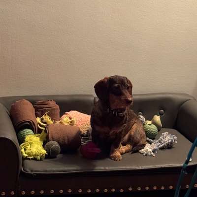 Wie habt ihr den Silvesterabend verbracht?-Beitrag-Bild