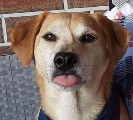 Fotochallange Nr. 57     PORTRÄT.   Beendet!!!!!!!!-Beitrag-Bild