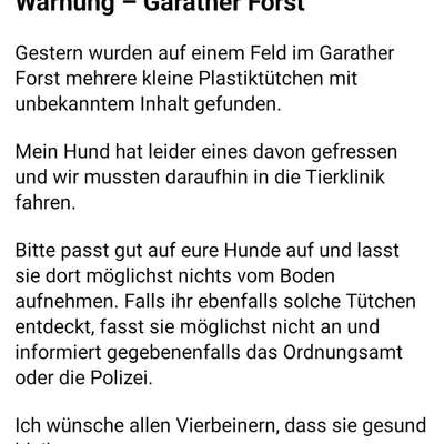 Giftköder-Giftköder in Tüten-Bild