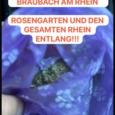 Giftköder-Giftköder-Bild