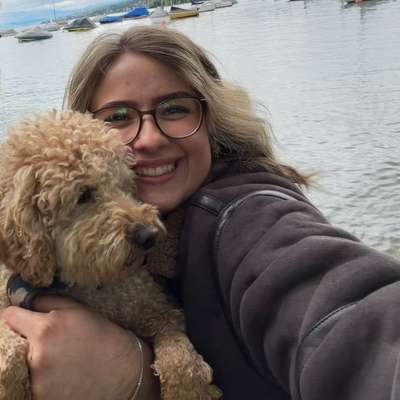 Hundetreffen-SocialWalk/Playdate-Profilbild