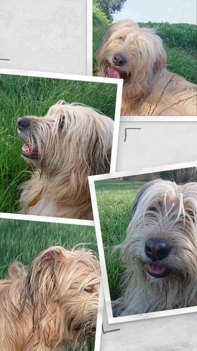 Gibts hier Mioritic Besitzer?-Beitrag-Bild