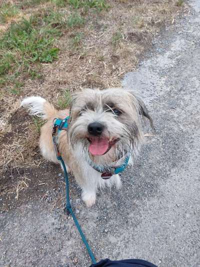 Handy-Foto Challange Nr. 10-Beitrag-Bild