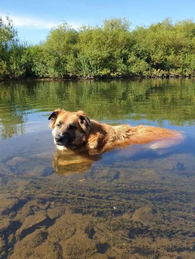 Foto Challenge - BEENDET - bitte aktuelle Challenge nutzen-Beitrag-Bild