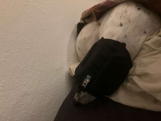 Was hat euch heute gefreut?-Beitrag-Bild