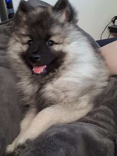 Vorher.... Nachher-Beitrag-Bild