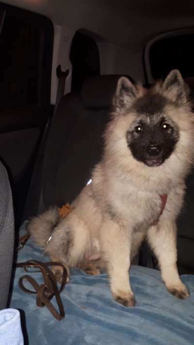 Ist das ein...?-Beitrag-Bild