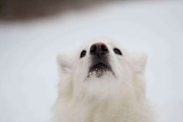 FOTOCHALLENGE 86-Beitrag-Bild