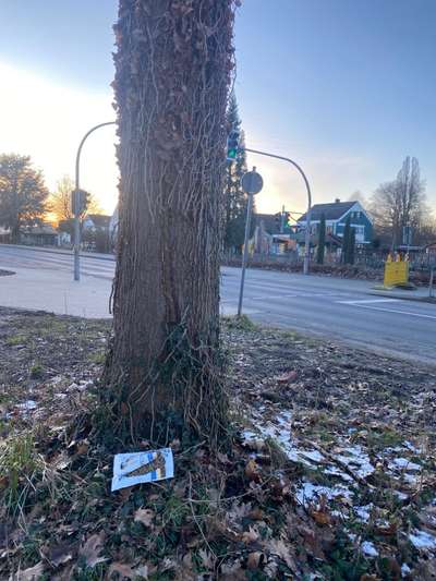 Giftköder-Katzenfutter kleiner Beutel-Bild