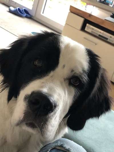 Fotochallange Nr. 57     PORTRÄT.   Beendet!!!!!!!!-Beitrag-Bild