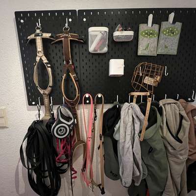 Zeigt her eure Gassi-Stationen =)-Beitrag-Bild