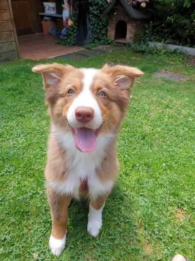 Lieblingsbild :D-Beitrag-Bild