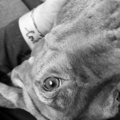 150. Foto Challaenge:  Die Augen, der Spiegel der Seele-Beitrag-Bild