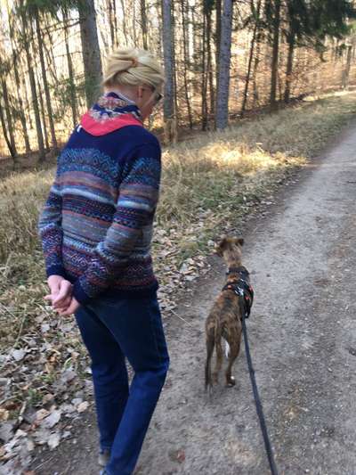 Windhunde - Treffen der besonderen Schönheiten
HERZLICH WILLKOMMEN-Beitrag-Bild