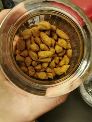 Heute gibt es.....der "ich mach die Leckerlis-Selber-Thread"-Beitrag-Bild