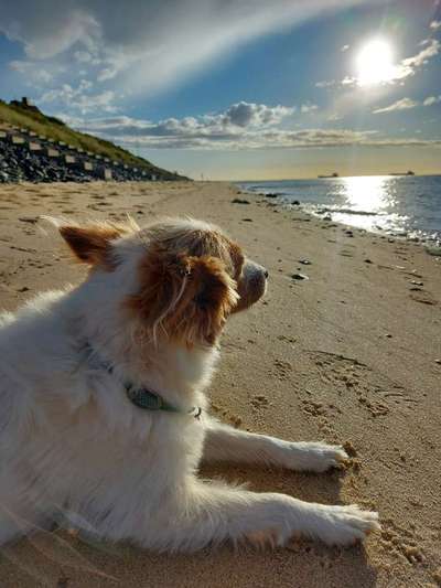 FOTOCHALLANGE NR.71 BADEFREUDE-Beitrag-Bild